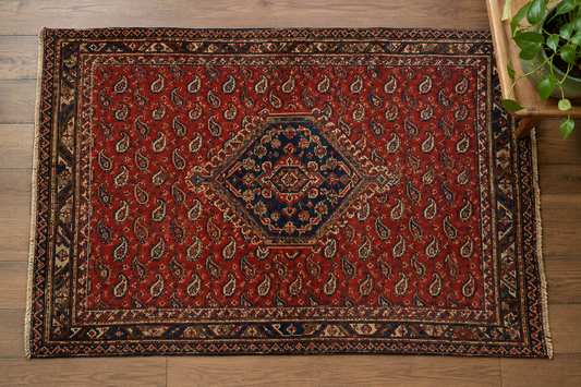 Hamadan Rugs: The Best-Value Persian Rug Explained
