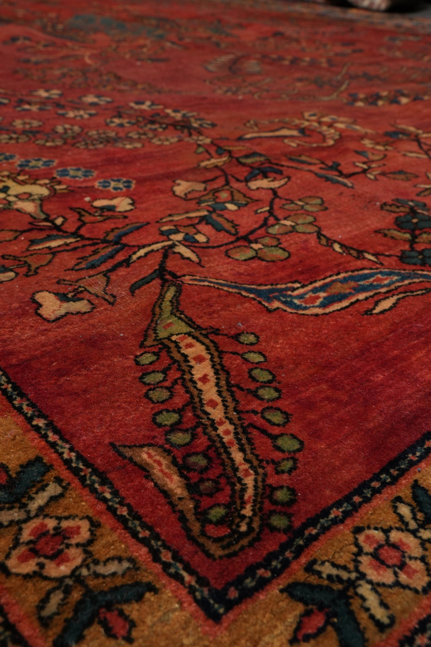 Antique Kashan-style rug, alternate corner with intricate border
