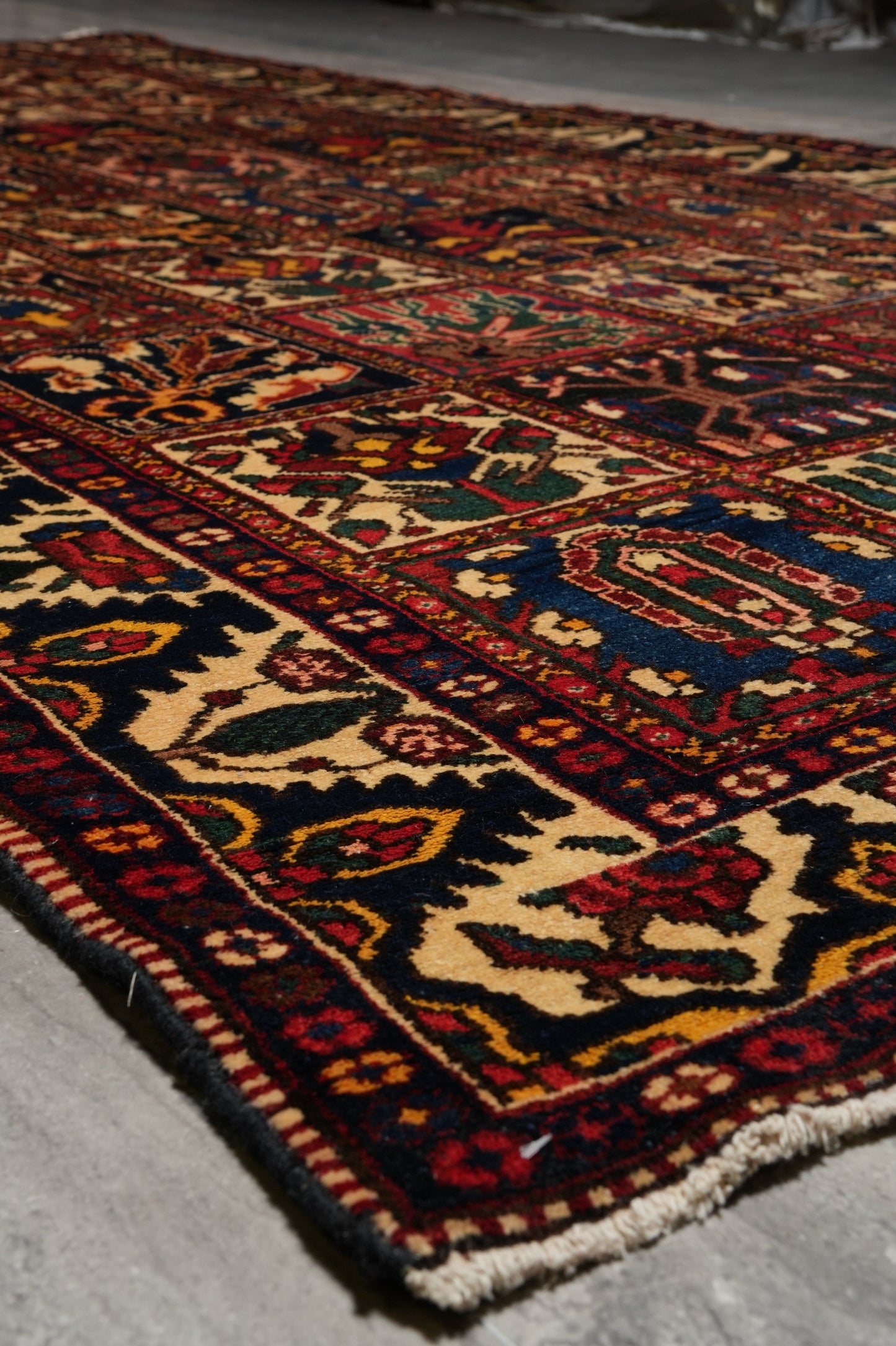 Bakhtiar-pattern garden runner, end-finish and fringe close-up