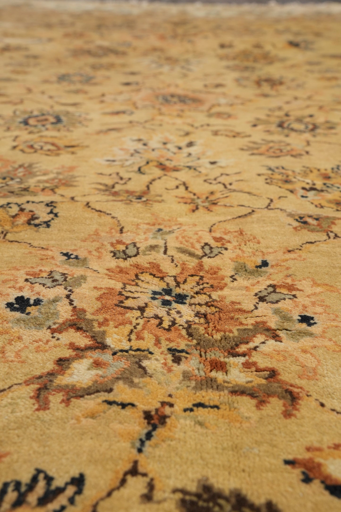 Jaipur gold rug, pile texture showing dense wool construction